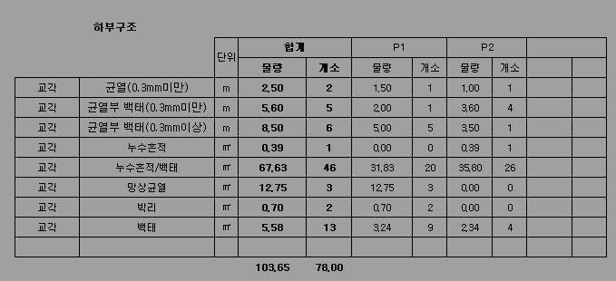 정밀안전진단 현장조사편 손상물량