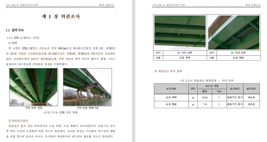 정밀안전진단 현장조사편 보고서